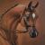 MoonLightingStables
