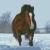 CacheCreek
