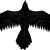 RavenLunatic